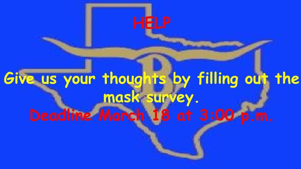 Mask Survey